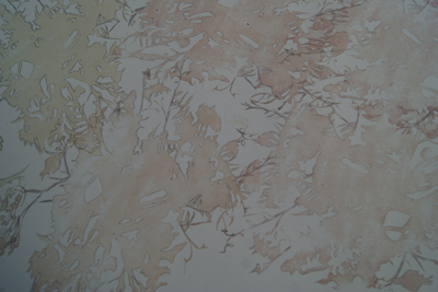 EMERGING ARTIST RESIDENCY @ SSW