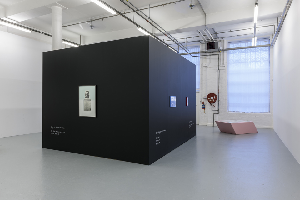 'The Glory of a Great Picture is in its Shame I', installation view 2, Drawing Room London, 2012